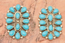 Sleeping Beauty Turquoise Sterling Silver Earrings